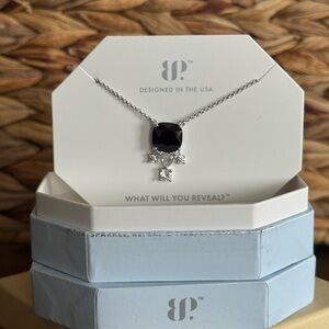 Endless Daydreams Black Onyx Cubic Zirconia Necklace - Rhodium Plating